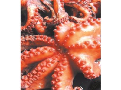 KUHANA HOBOTNICA CIJELA (Octopus vulgaris)