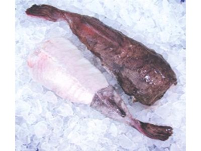 REP GRDOBINE (NAMIBIA) (Lophius spp)